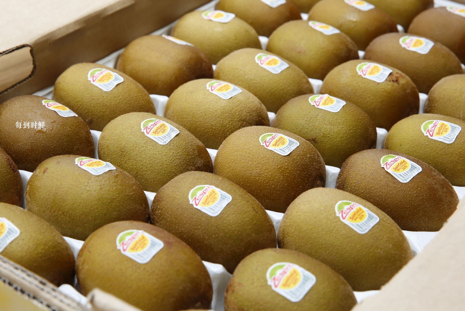 本季首批智利产Jingold金奇异果成功到货 品质口感更胜上季 | 国际果蔬报道