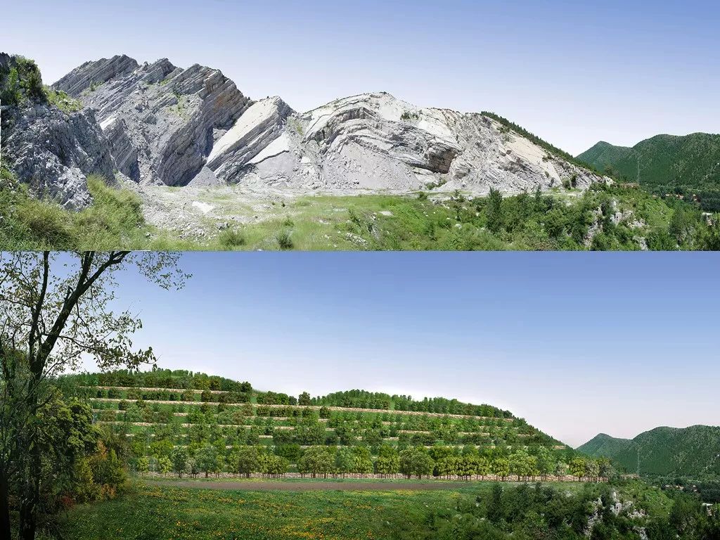 市场化方式修复矿山的过去与未来