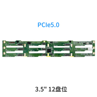 PCIE5.0--NVMe-2U12-3.5寸SAS3111