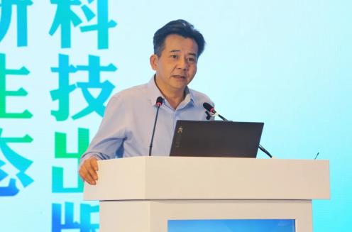片