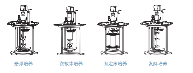 图片7