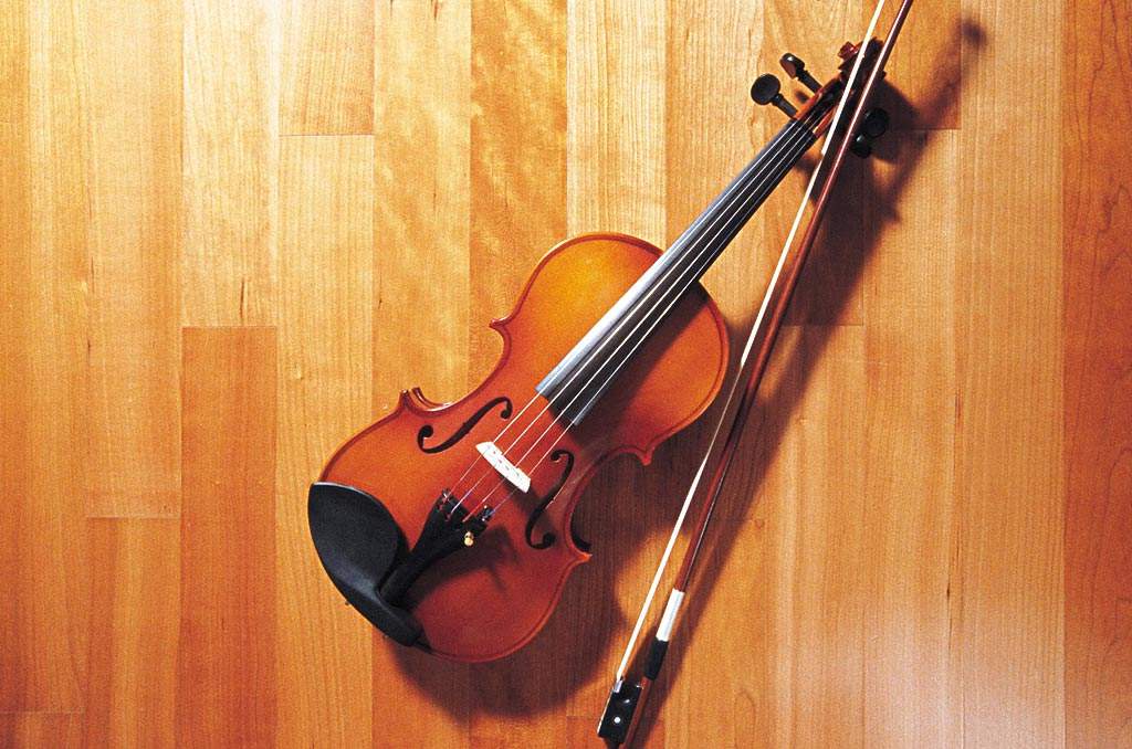 timg-1