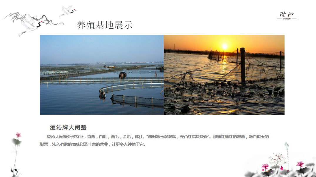 QQ图片20190825210051