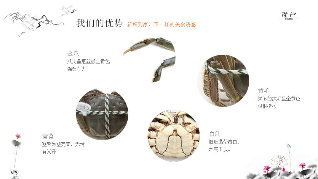 QQ图片20190825210119