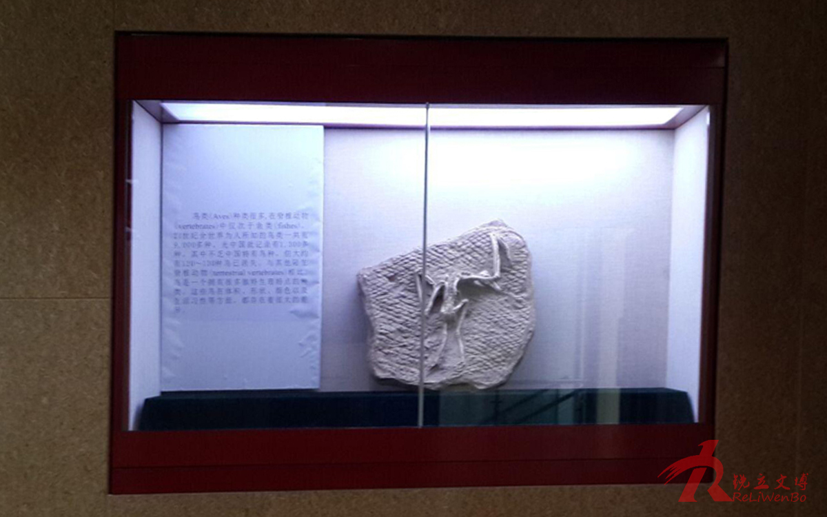 壁龛柜-1