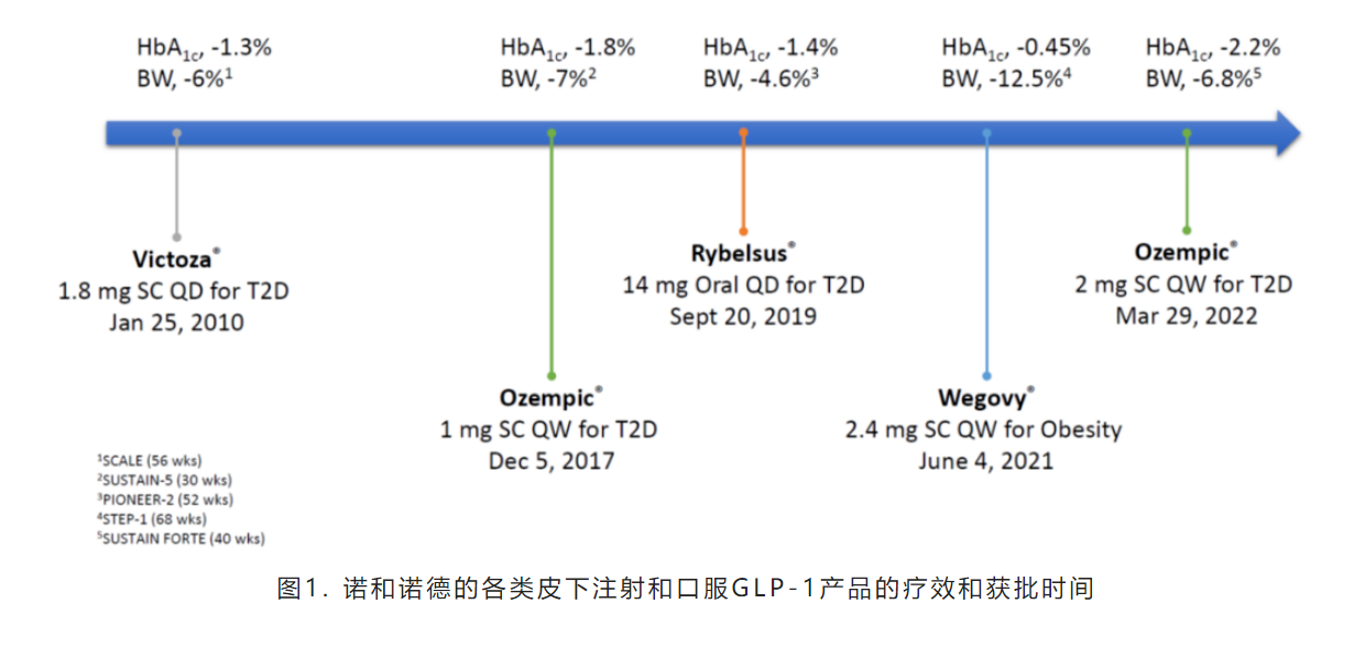 What Patients Should Know About GLP-1s and Gastroparesis