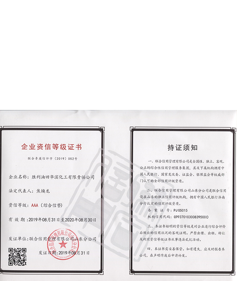 资质证书_0014_3AAA资信登记证书