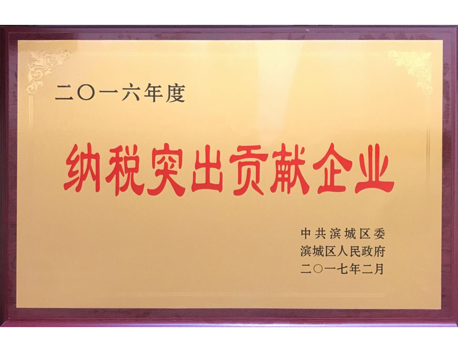 纳税突出贡献企业X