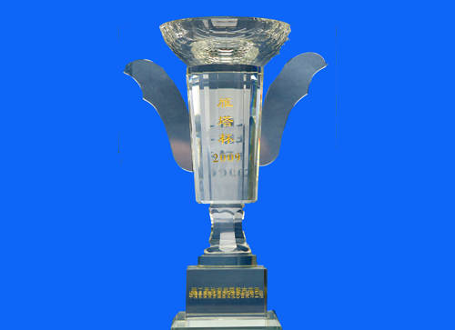 2009雁塔杯