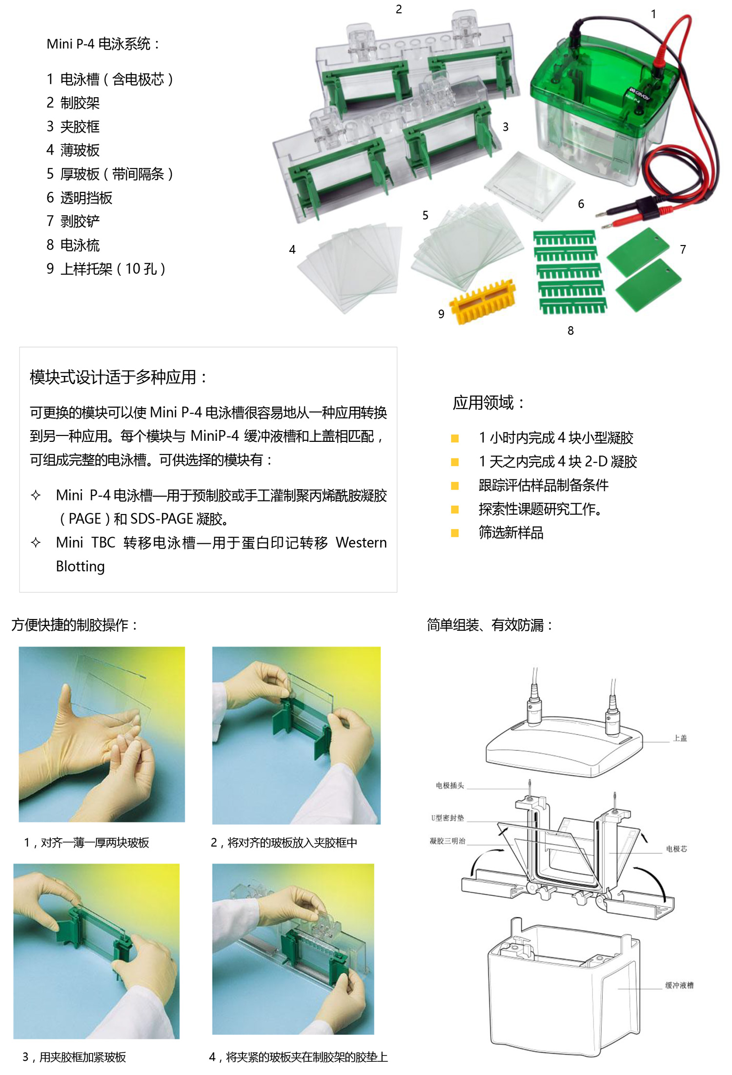 Mini-P-4-小型垂直电泳系统2