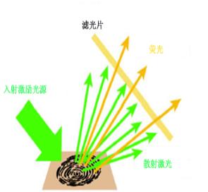 C:\Documents and Settings\Administrator\桌面\111.jpg