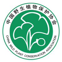 中植协logo