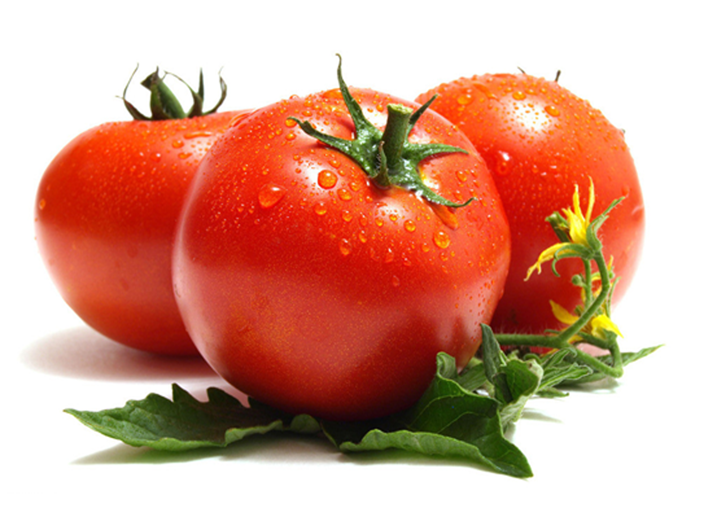西红柿有什么营养价值！？ - 知乎