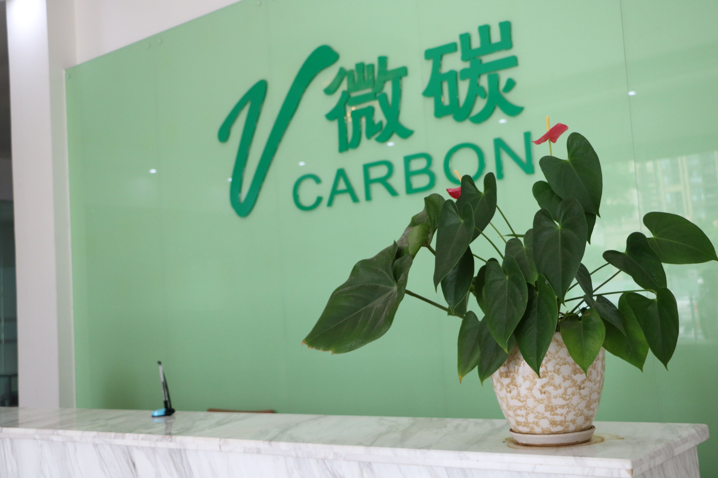 广东微碳检测科技有限公司