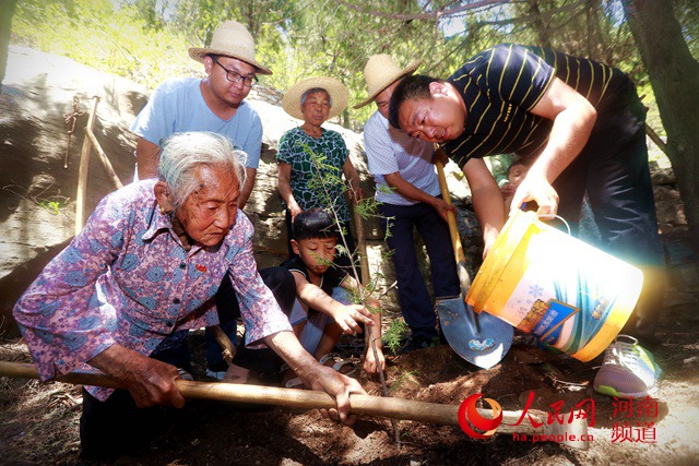 九旬老人靳月英:35年走遍太行栽下20万棵树