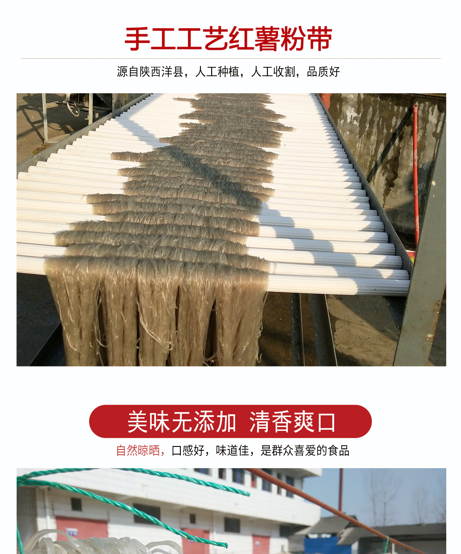200g粉帶-06紅薯粉帶詳情頁A寬粉200g_04