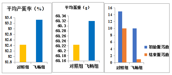 飞畅2