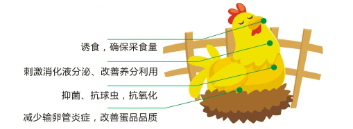 禽舒保加强型2