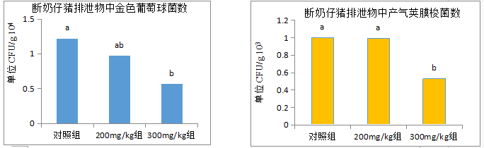 山川多滋味4