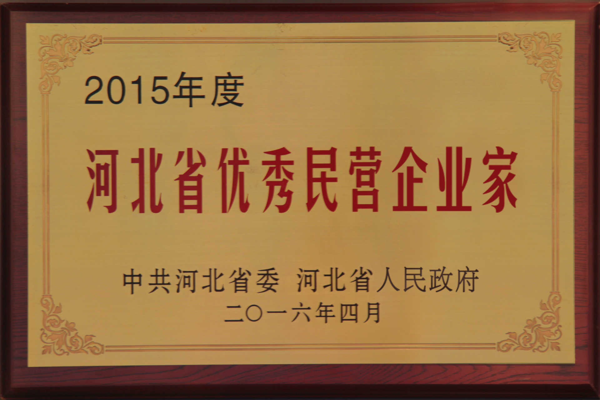 河北省優秀民營企業家