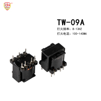 TW-09A脉冲变压器