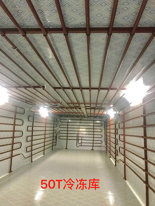 50T冷冻库