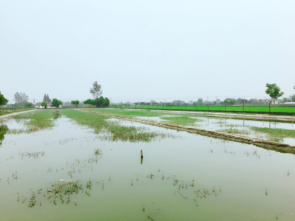 3309252_meitu_1