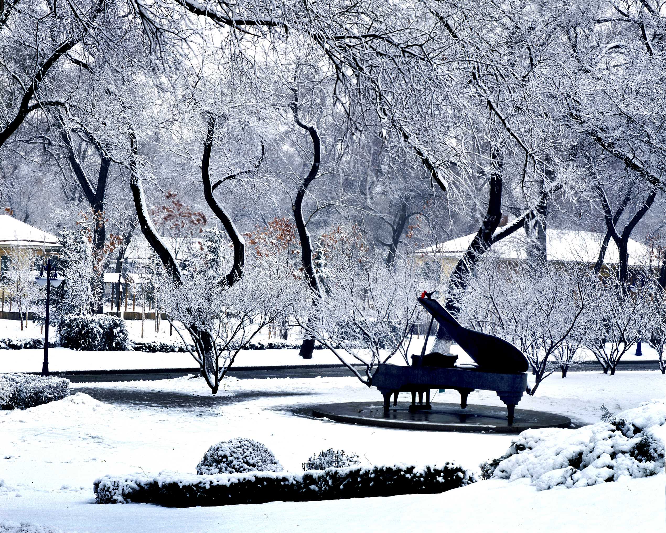 【携程攻略】哈尔滨太阳岛雪博会景点,每年一届的哈尔滨太阳岛国际雪雕艺术博览会（简称雪博会，今年第28届…