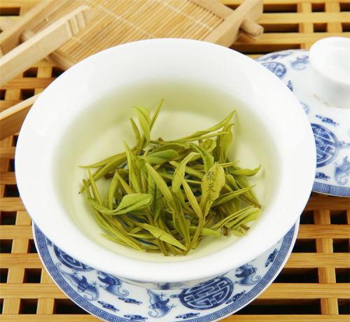 安吉白茶是绿茶吗