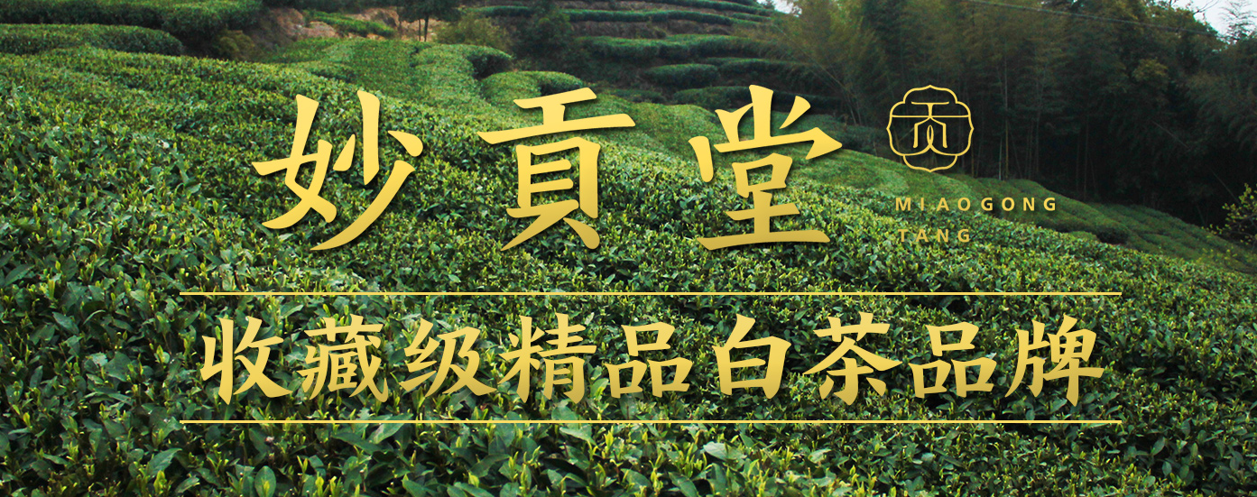 福鼎白茶加盟条件流程