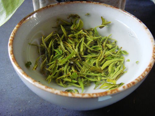 蒸青绿茶品种