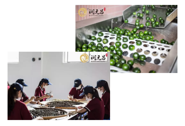 2016年投产的柑润堂茶厂