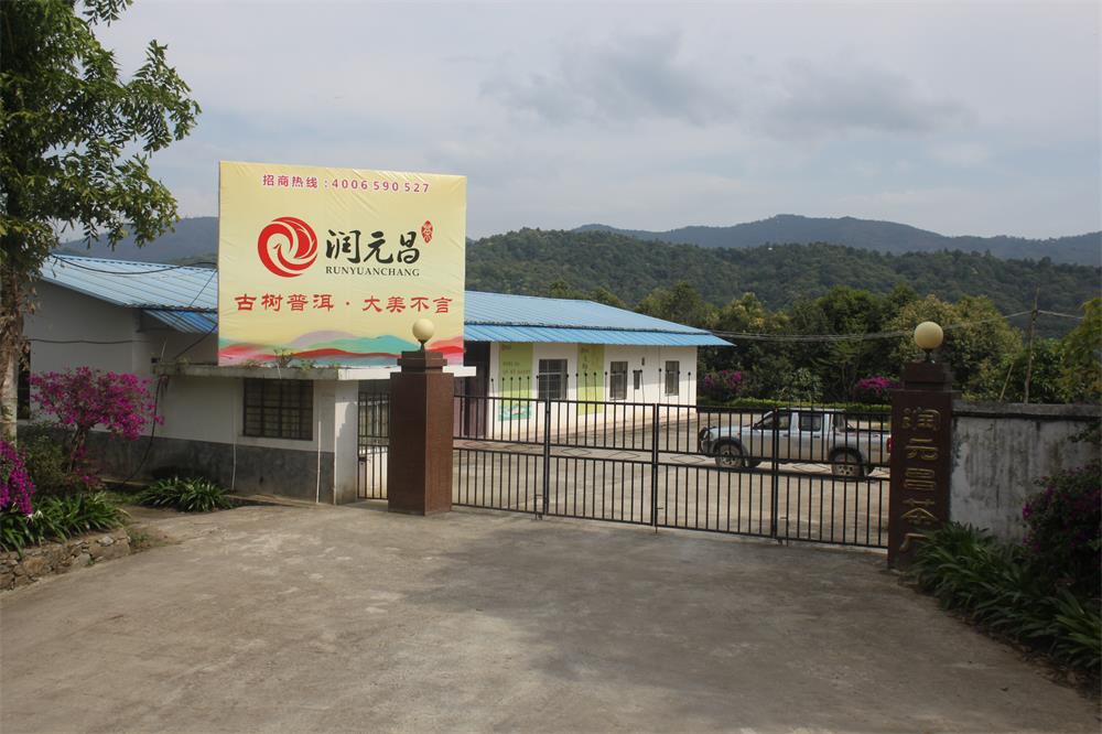  Runyuanchang Menghai Tea Factory