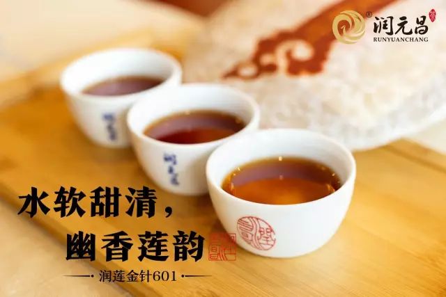 润元昌普洱茶-5