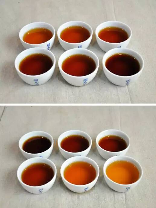 普洱茶不同年份汤底