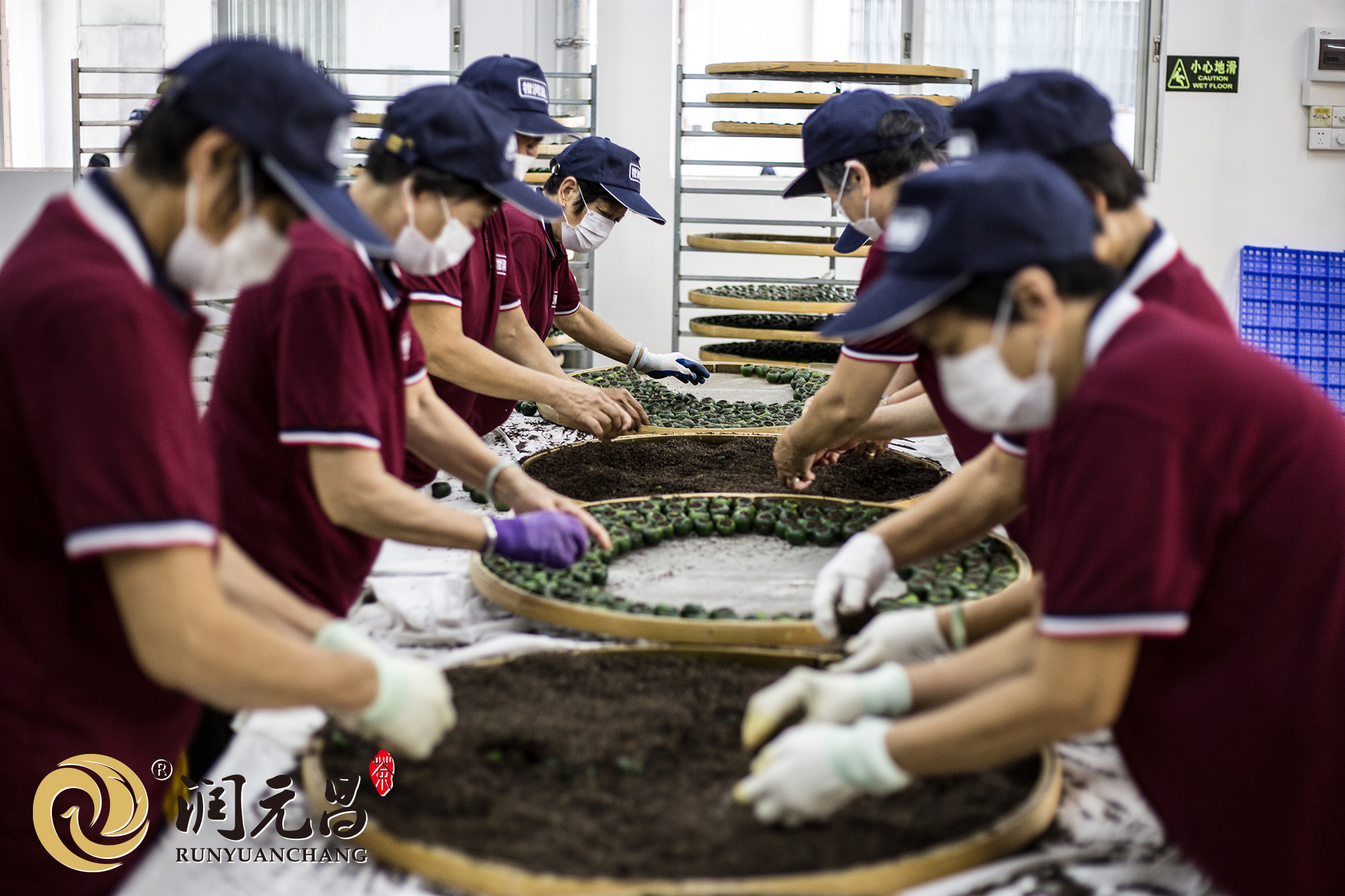 影响普洱茶价格因素