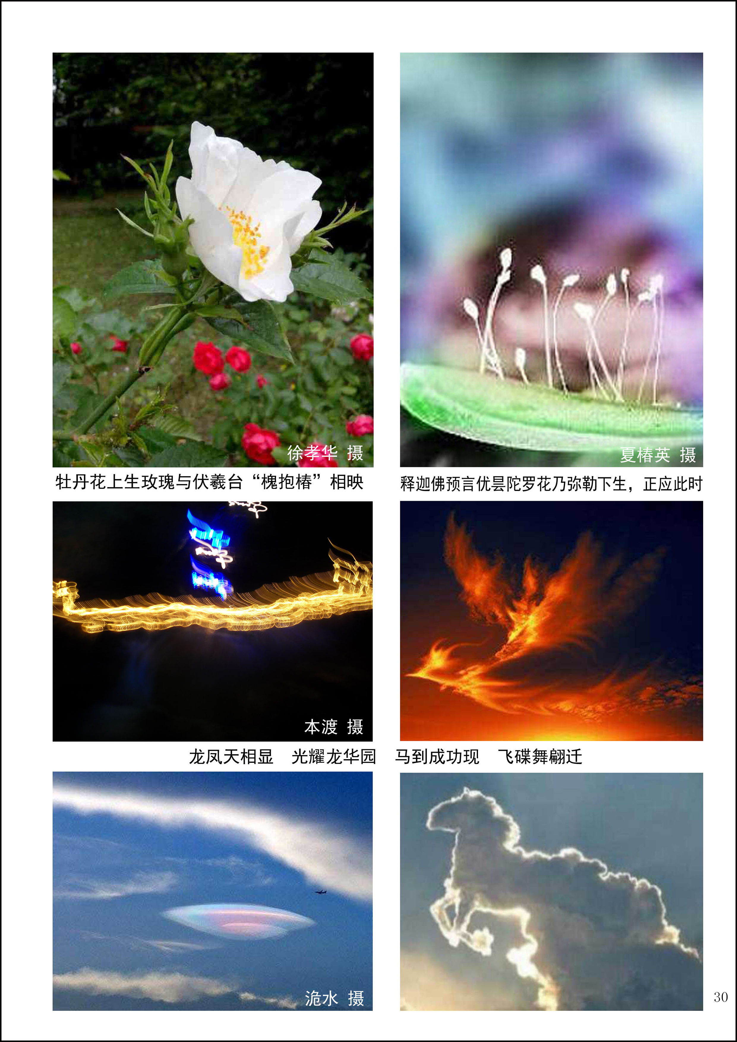 洈水资料31