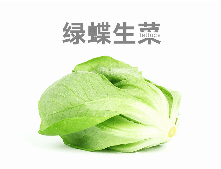 三安-绿蝶生菜-详情_03