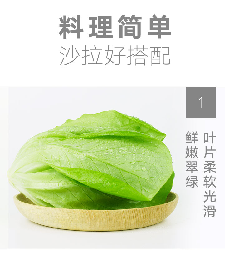 三安-绿蝶生菜-详情_05