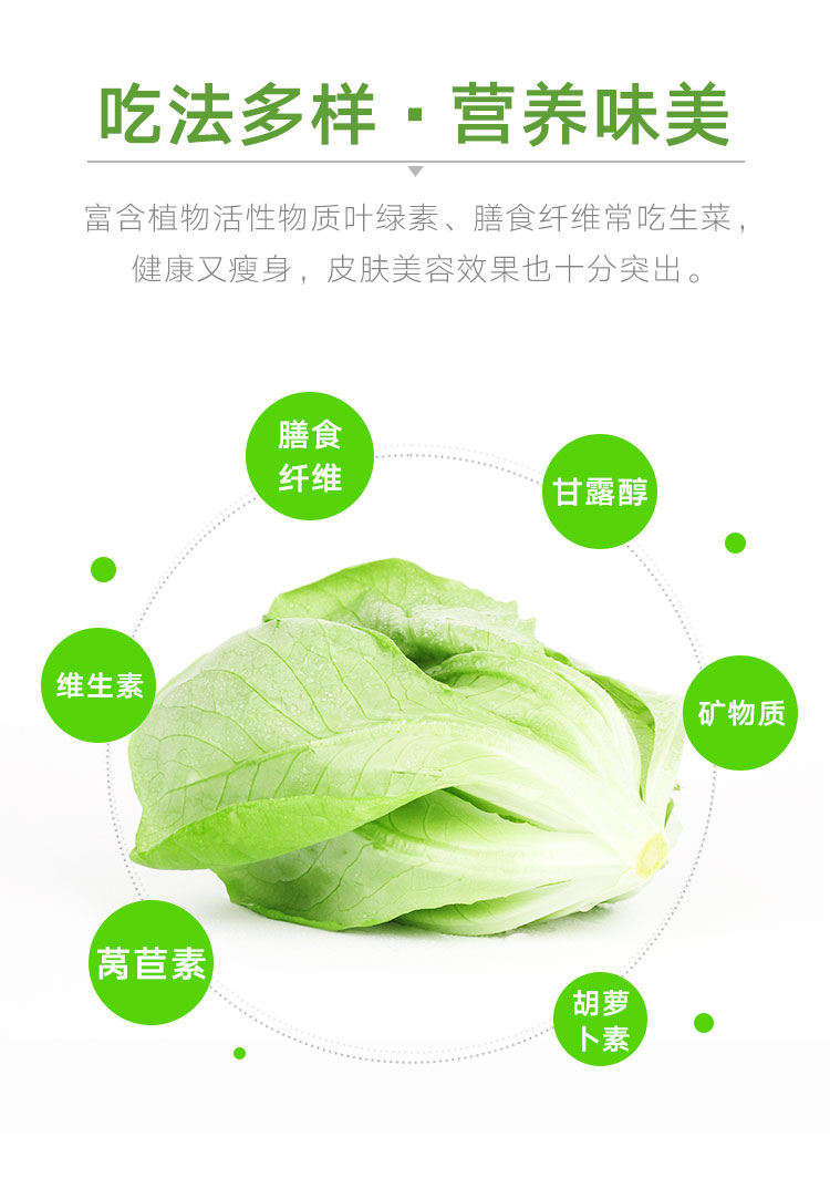 三安-绿蝶生菜-详情_07