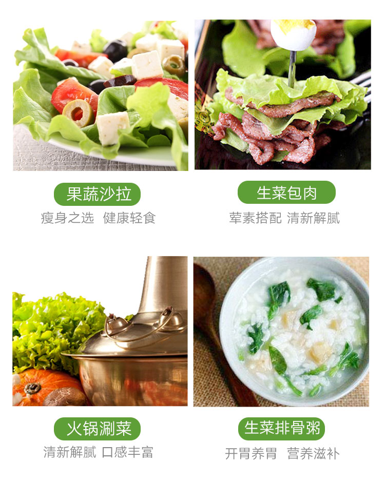 三安-绿蝶生菜-详情_13