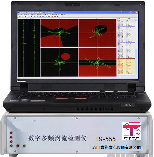 泰斯泰克TS-555双频四通道