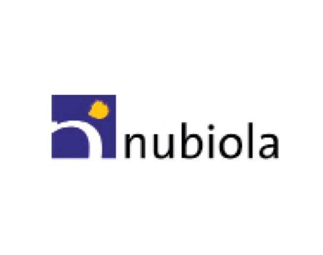 Nubiola logo (Ferro)