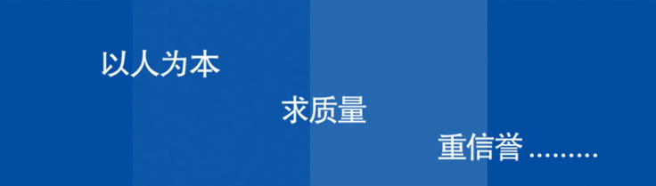 其他1