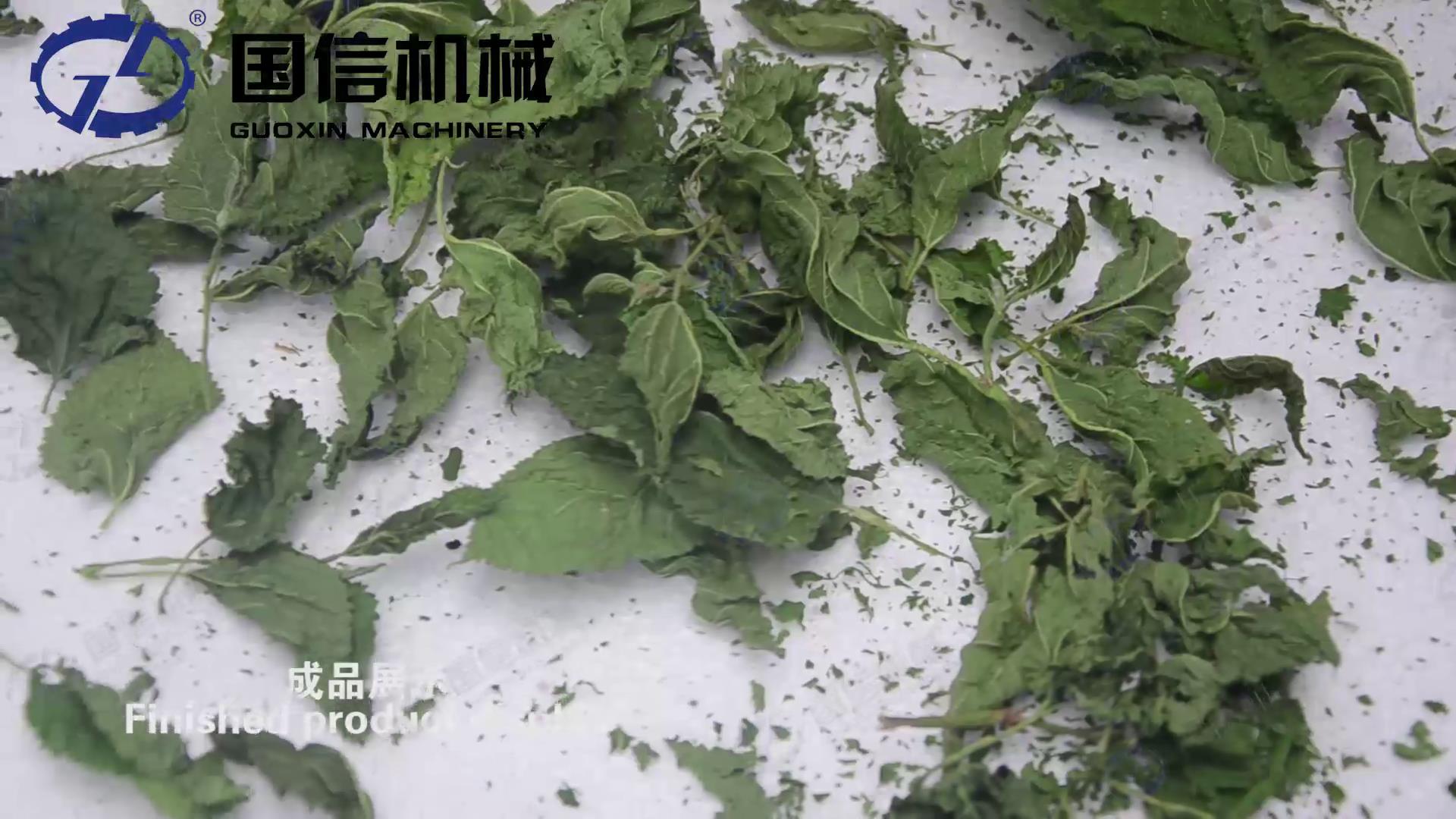 薄荷叶澳门威尼斯人wns8
