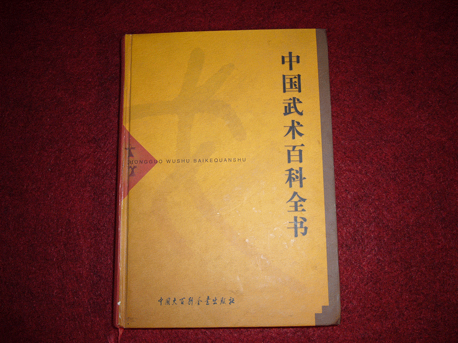 03-中国武术百科全书