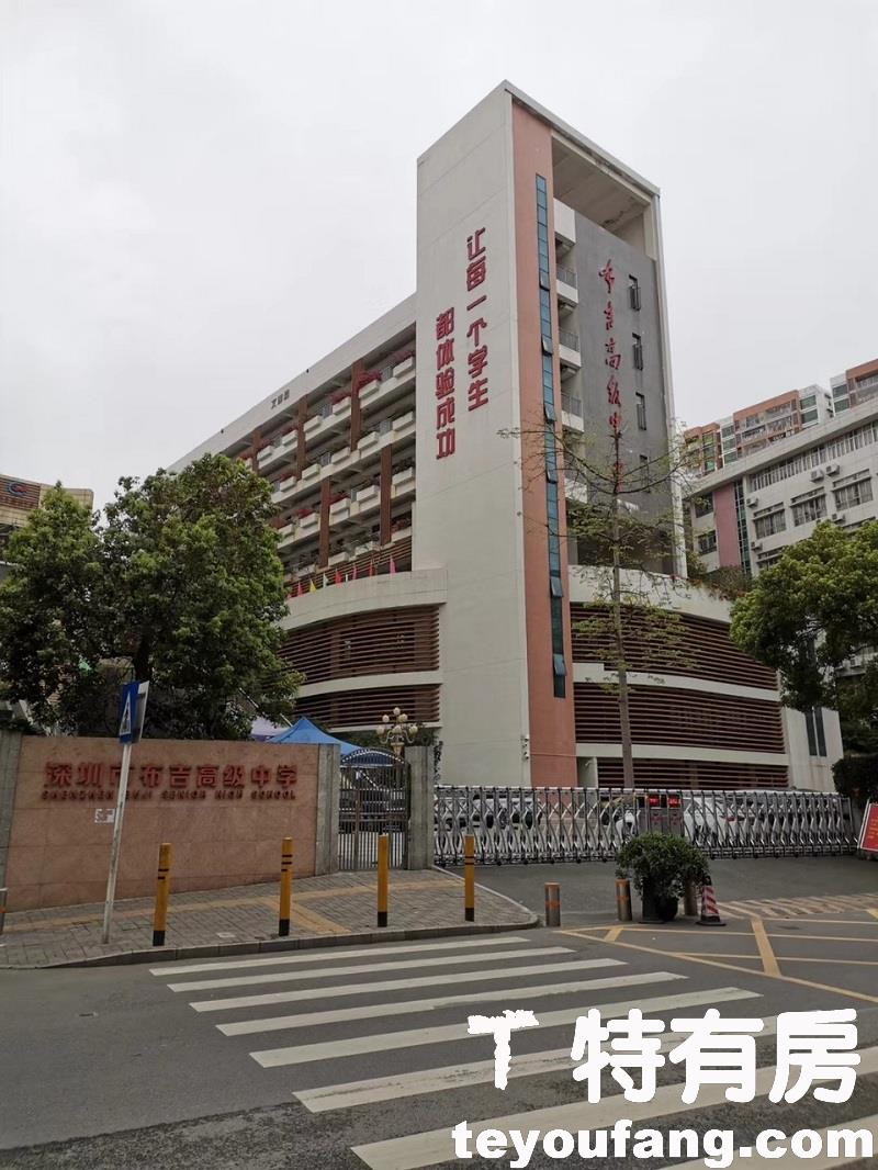 龙岗布吉南岭村统建楼《翰林优居》,双地铁物业,自带停车场