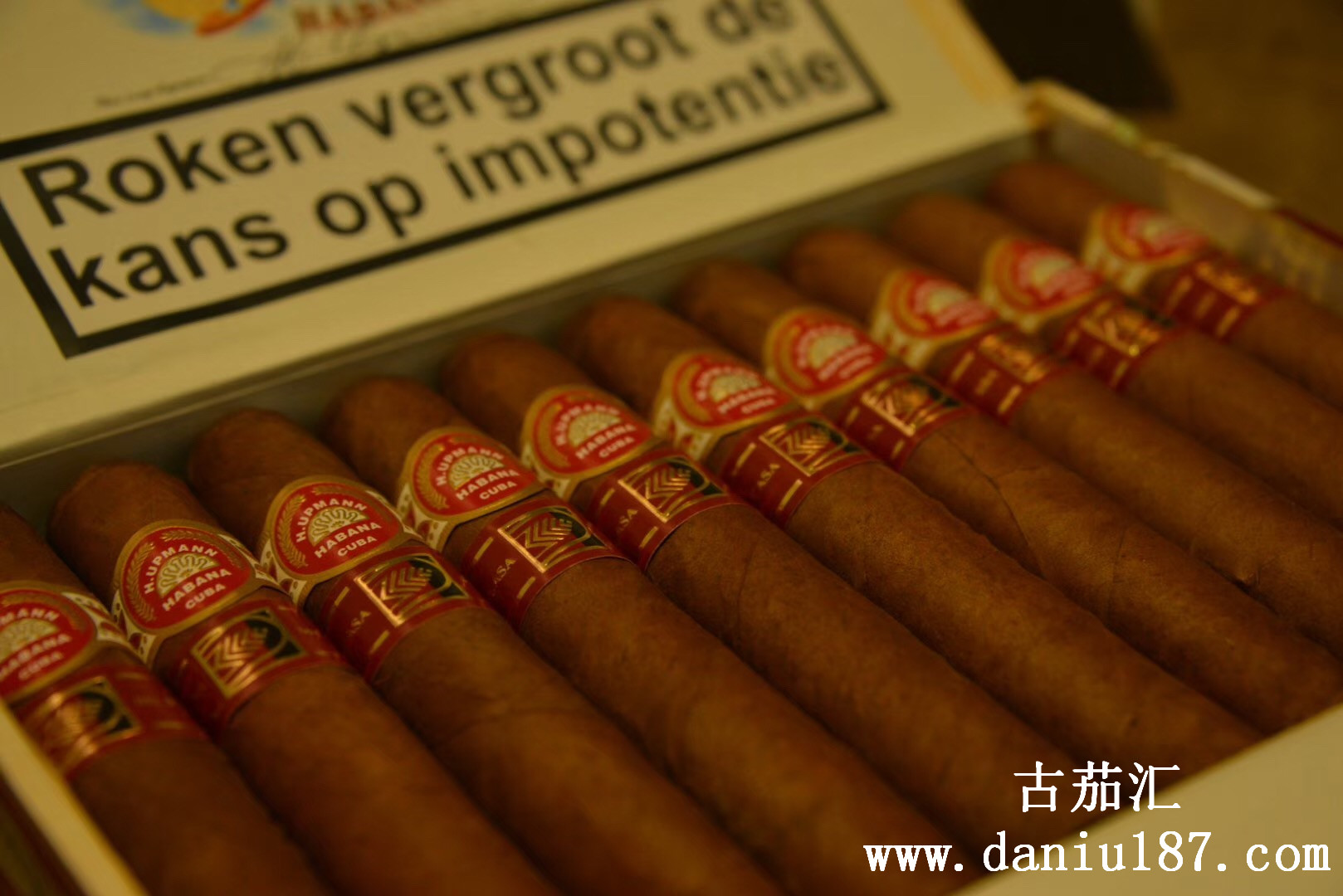 upmann royal robusto lcdh 乌普曼皇家罗布图lcdh限量版