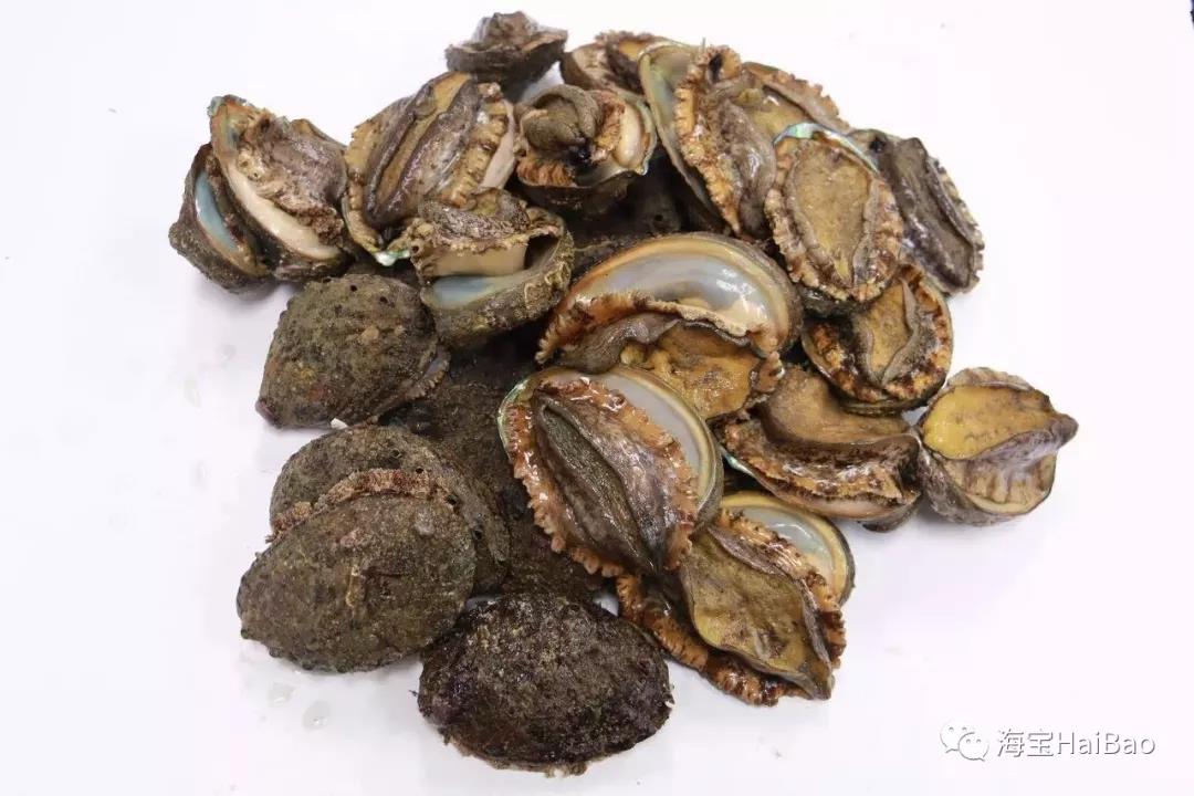 其实就是 鲍鱼壳,也叫海决明,九孔石决明,鲍鱼皮,金蛤蜊皮