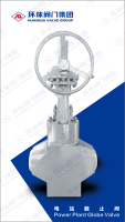 电站截止阀1